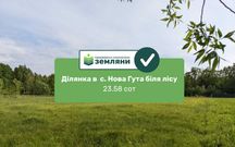 Продаж земельної ділянки біля лісу 23,58 сот в с. Нова Гута