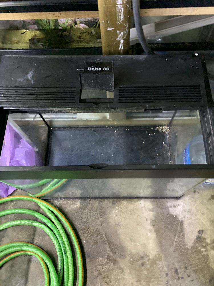 Disponivel aquario Delta  com tampa