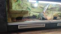 terrarium z plyty meblowej