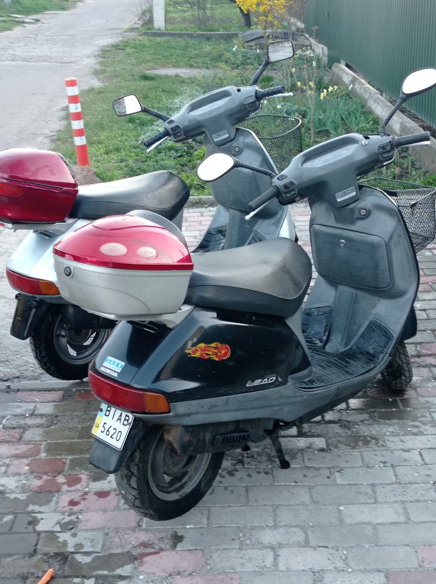 Honda Lead 50 куб