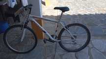 Bicicleta Branca