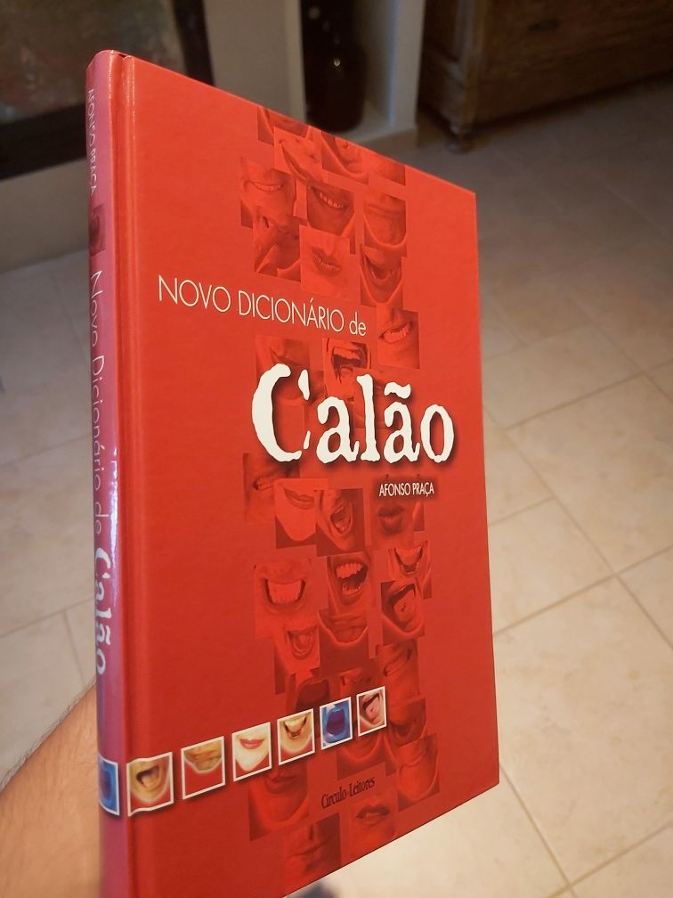 Libro-Linguagem calão