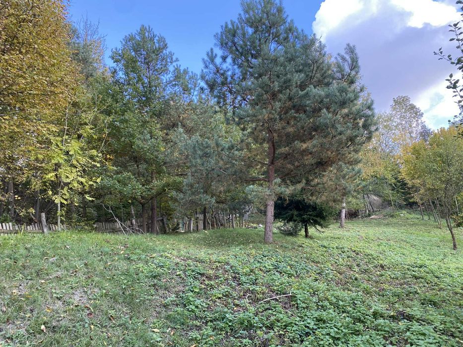 Działka rekreacyjno-budowlana w urokliwym Mielniku