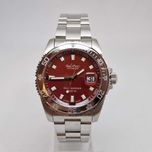 Акція Paul Picot Paul Mariner S: TuttiFrutti P4352.SG.4000.5614