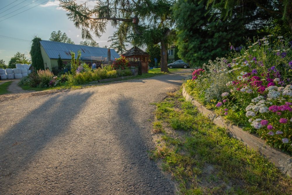 pokoje do wynajęcia