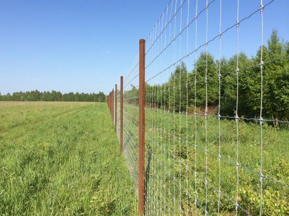 Ogrodzenia z siatki leśnej - ogrodzenia tymczasowe