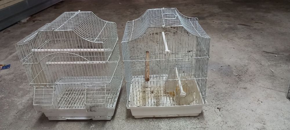 Quatro gaiola em bom estado