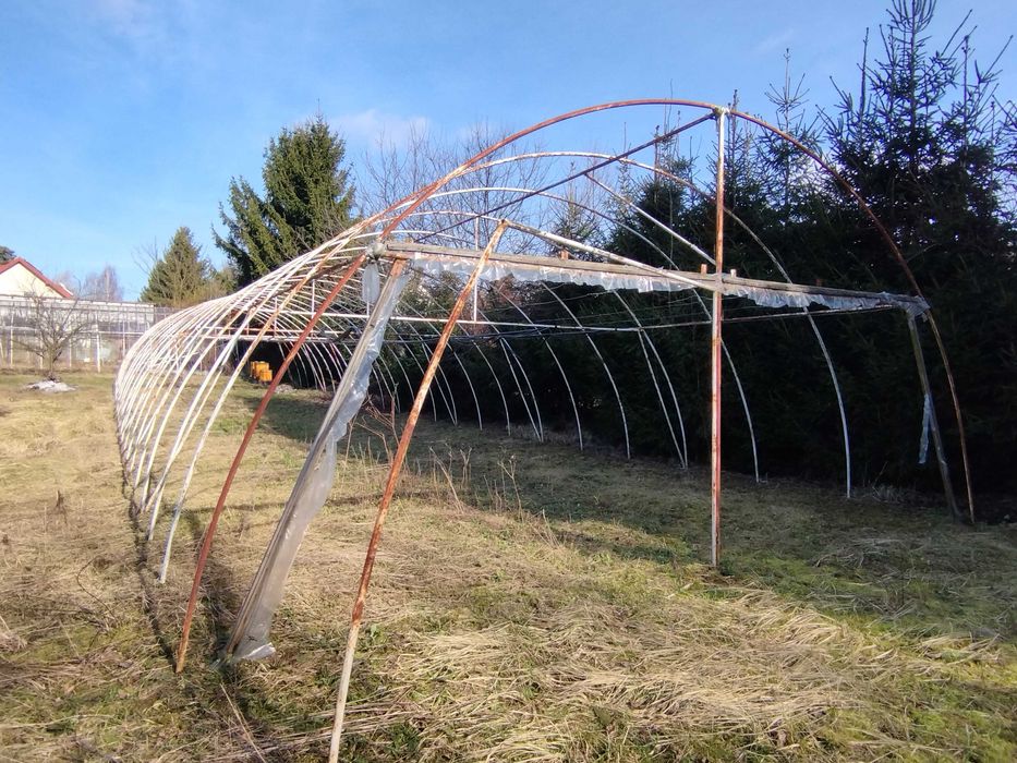 Tunel foliowy 7m x25m