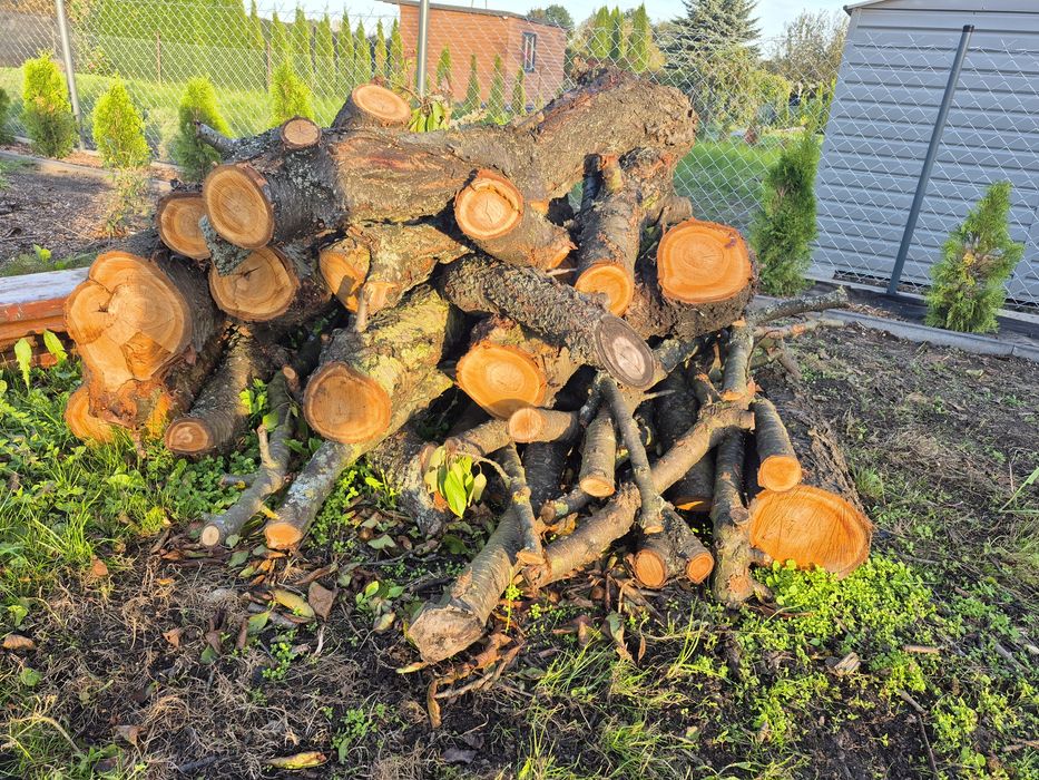 Drewno owocowe do wedzenia