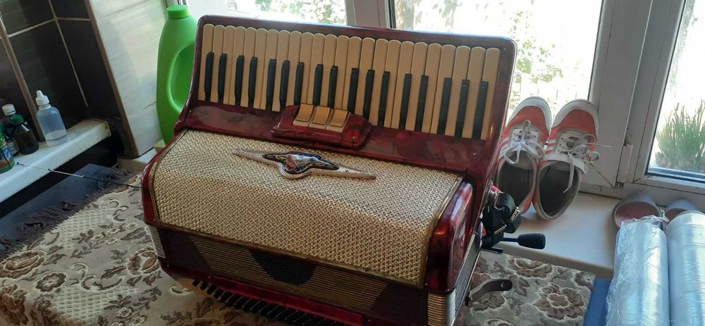 Аккордион баркоролла