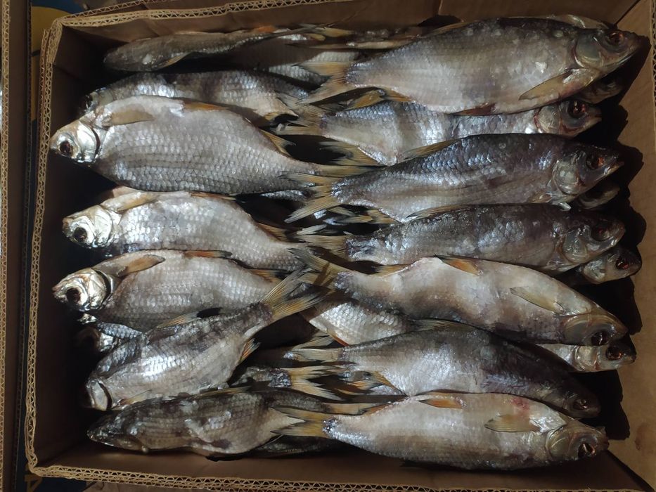 сушена рибка, підлящ, лящ, густера , синець, щука дуже смачна.
