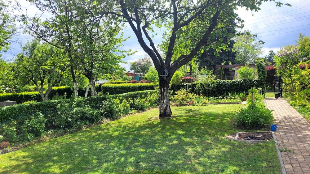 Działka ROD „SŁONECZNE WZGÓRZE” Katowice , Bogucice , ul. Osikowa