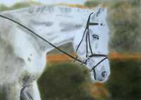 Portret konia koń pastel pastele suche obraz rękodzieło