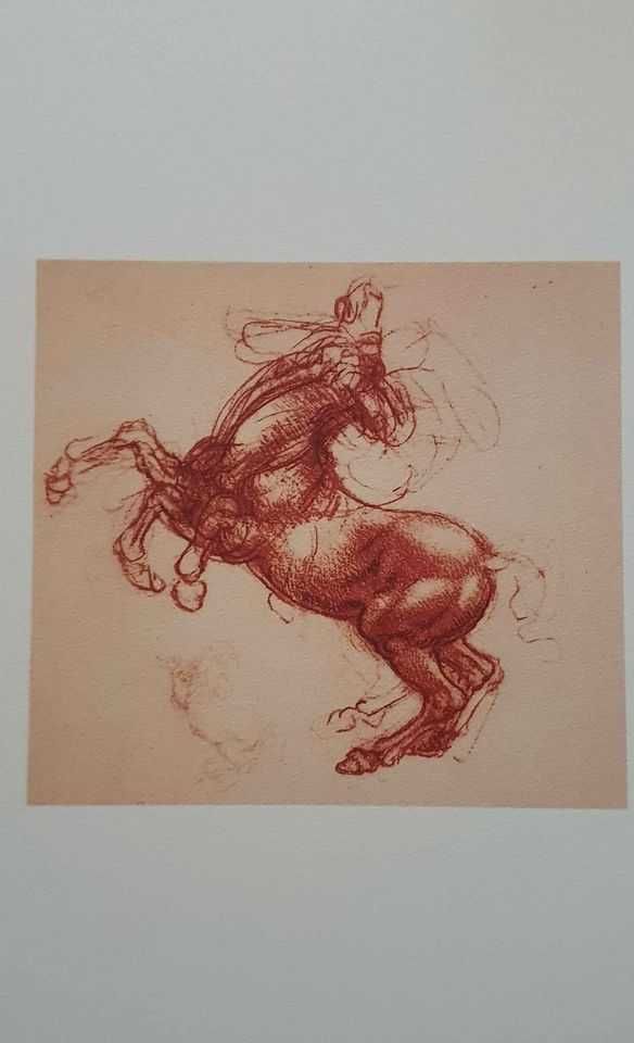 Coleção de impressões dos cavalos de Leonardo da Vinci