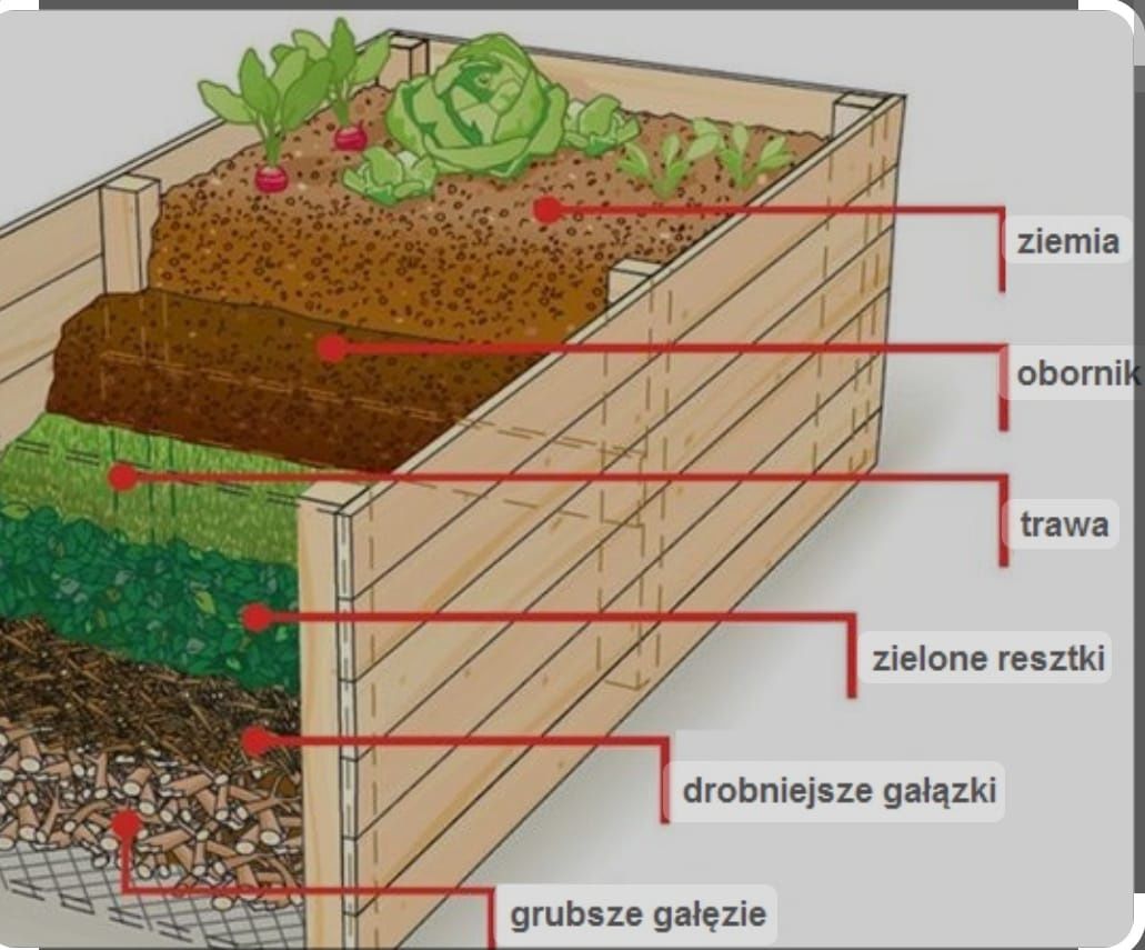 Podwyższana grządka na warzywa, pomidory, inspekt