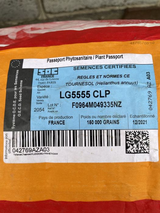 Насіння соняшнику. Limagrain 5555 LG 5555 під Євролайтинг.