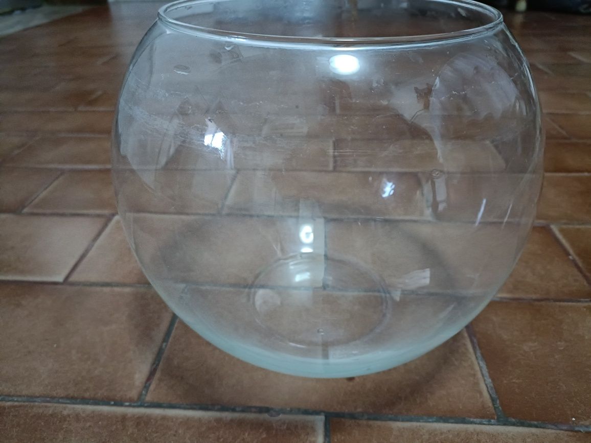 Globo de vidro para aquário de 10 litros 
Pode ser usado para camarões