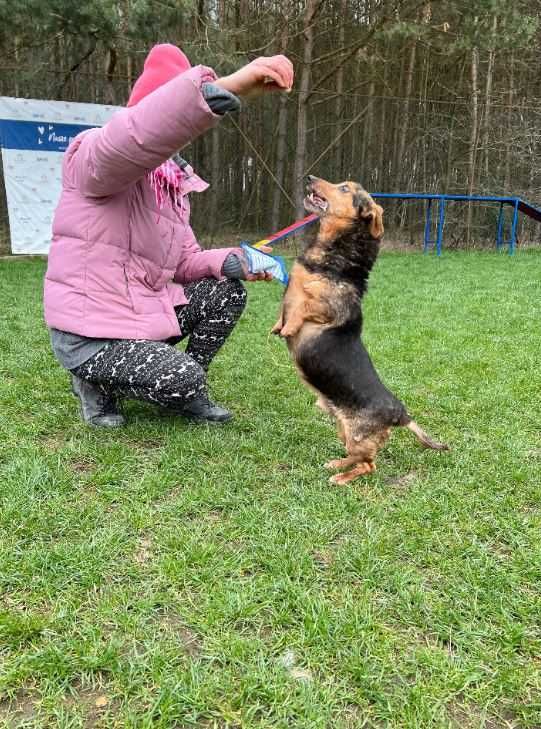 Wyjątkowy Kiełek poleca się do adopcji!!!