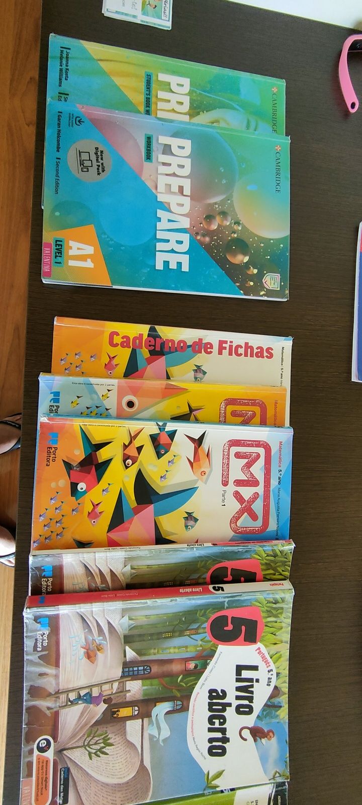 Livros escolares Areal 5 ano