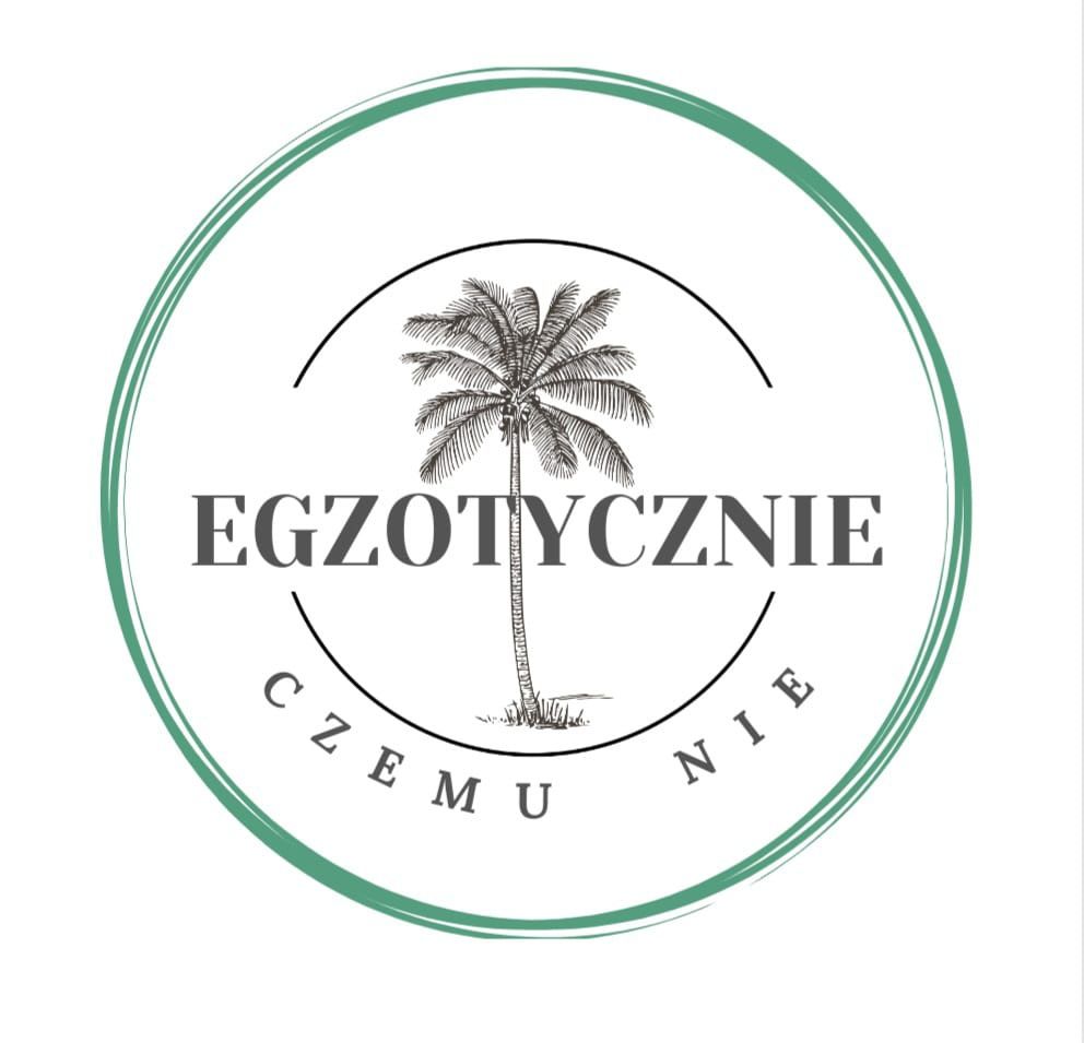 Sadzonka Colocasia Esculenta Kolokazja olbrzymia Uszy słonia