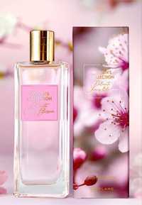 Perfume women"s collection