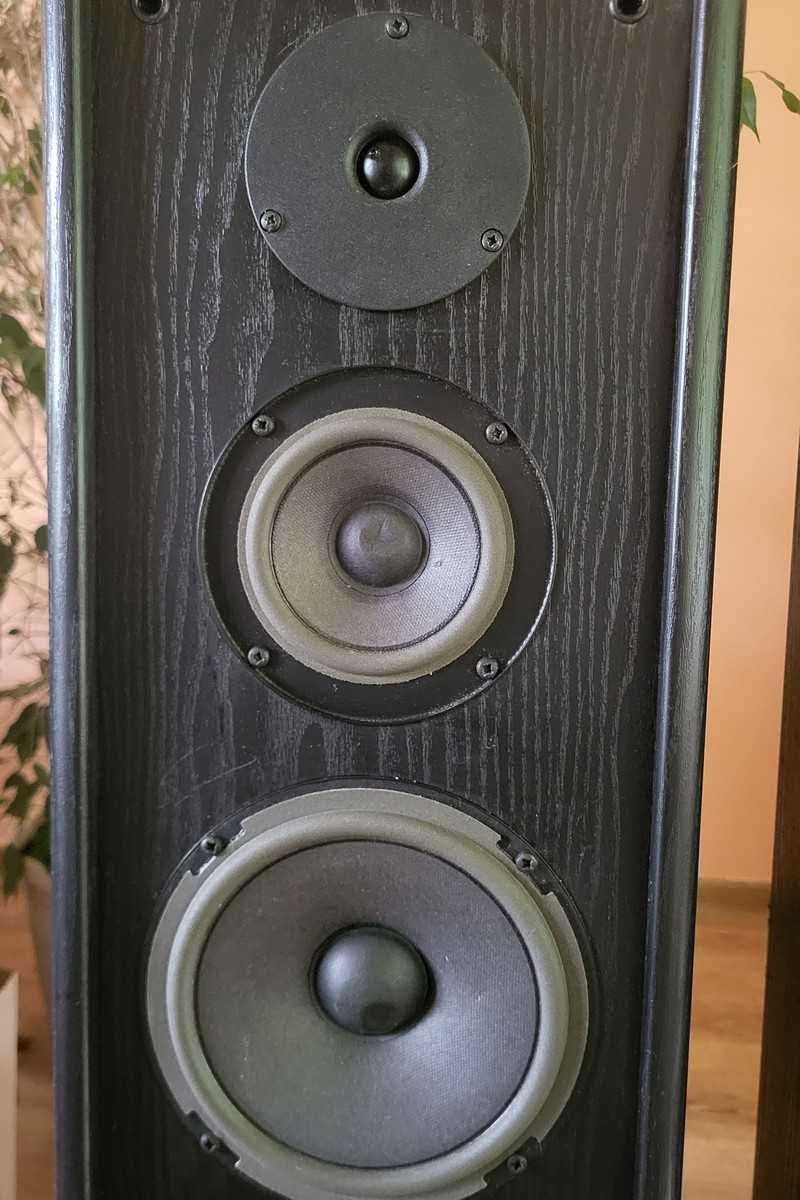 Kolumny głośnikowe JBL TLX 420