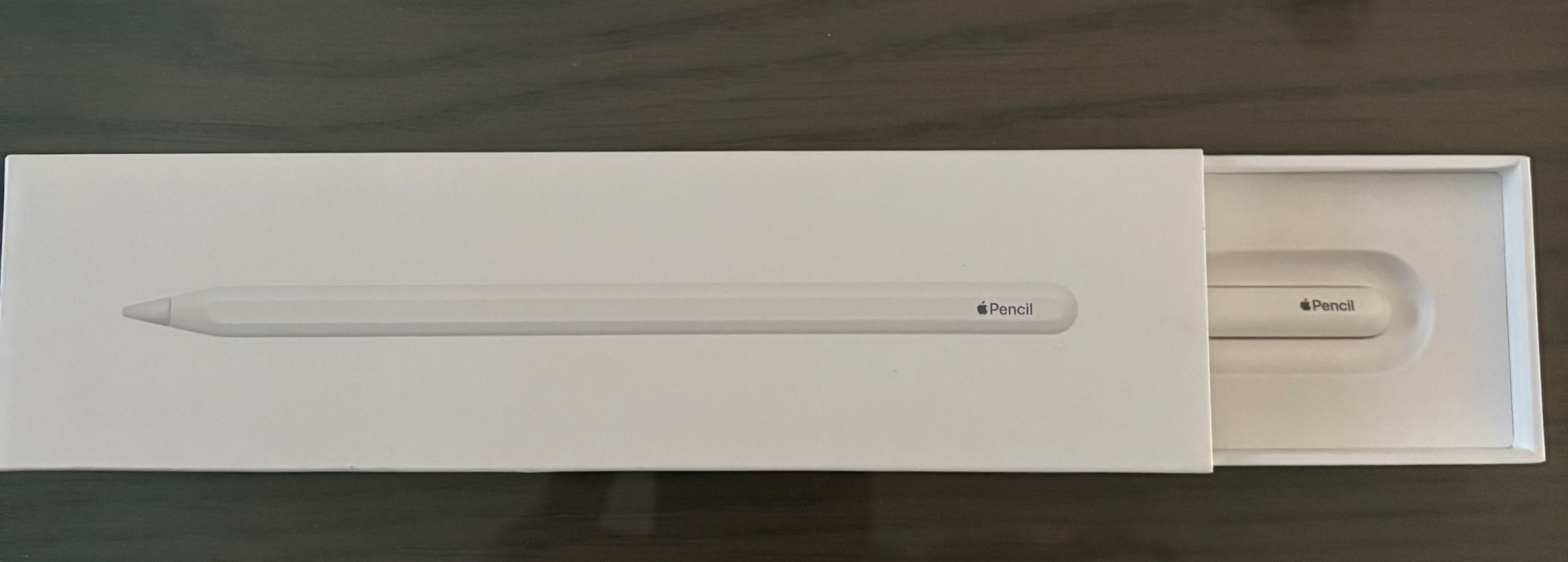 Apple Pencil 2ª Geração