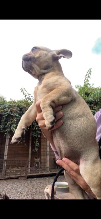 Хлопчик і дівчинка