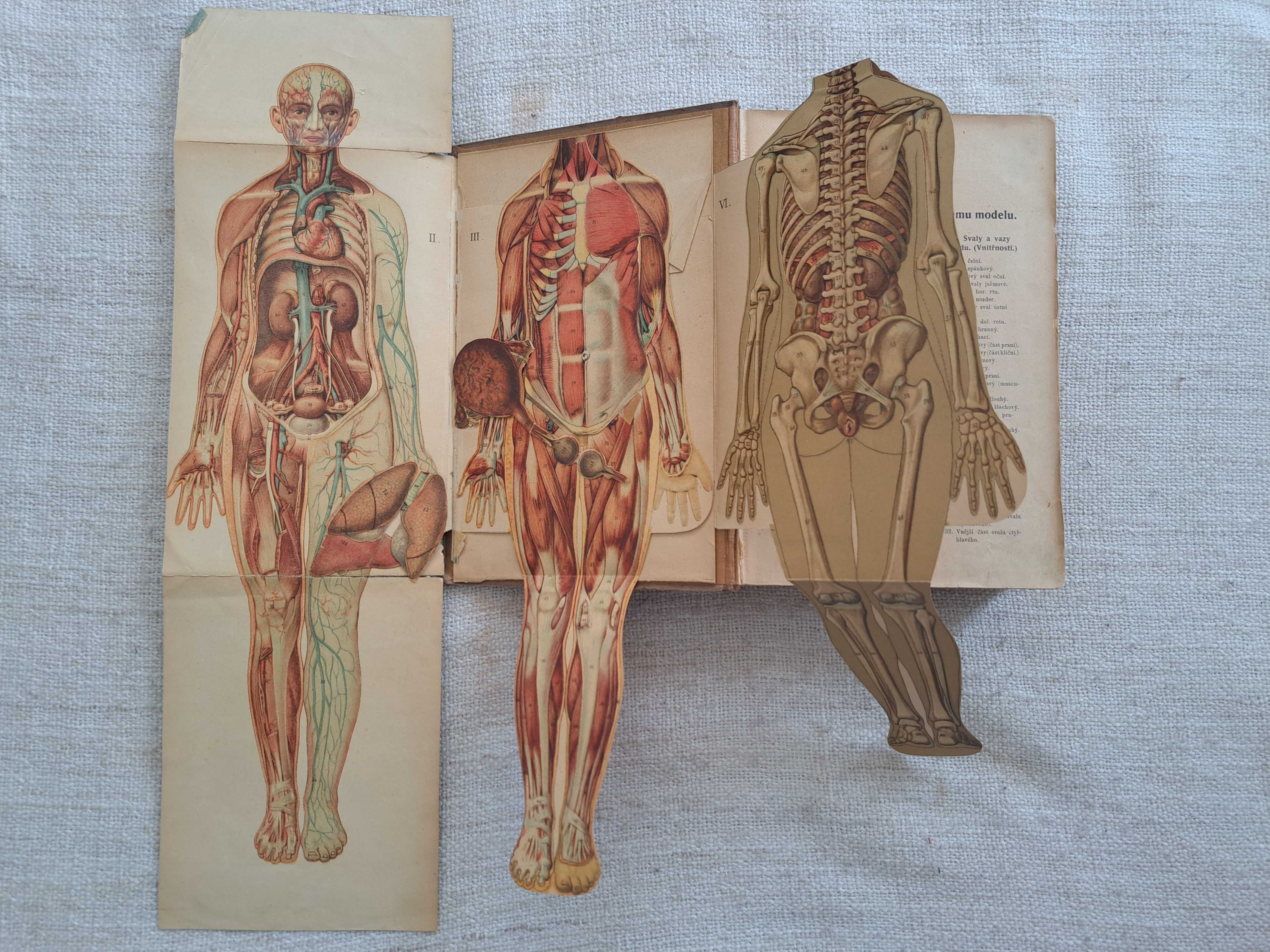 1923 rok. Medycyna naturalna i lekarz domowy. Język czeski. Tom I-II