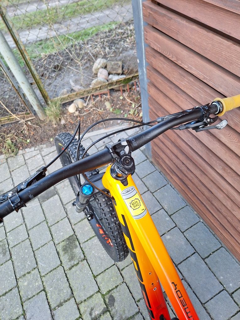 Trek remedy 8 2021