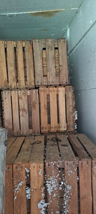 Sprzedam skrzynki jedynki