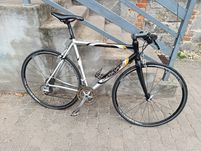 Kolażówka Batavus Challenge, Shimano Sora, widelec carbon