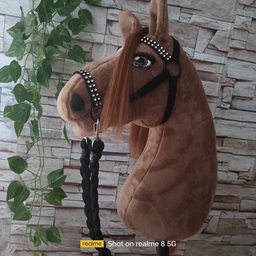 Nowy brazowy hobby horse