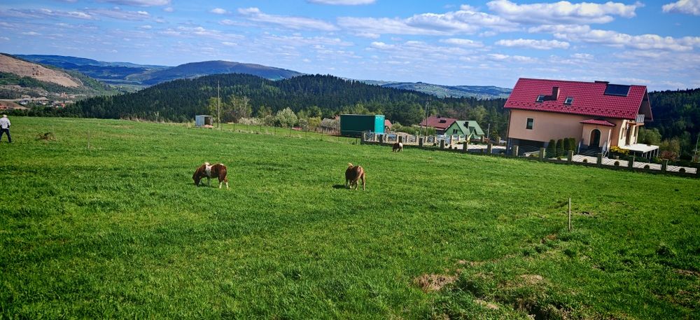 Działka budowlana w Trzetrzewinie
