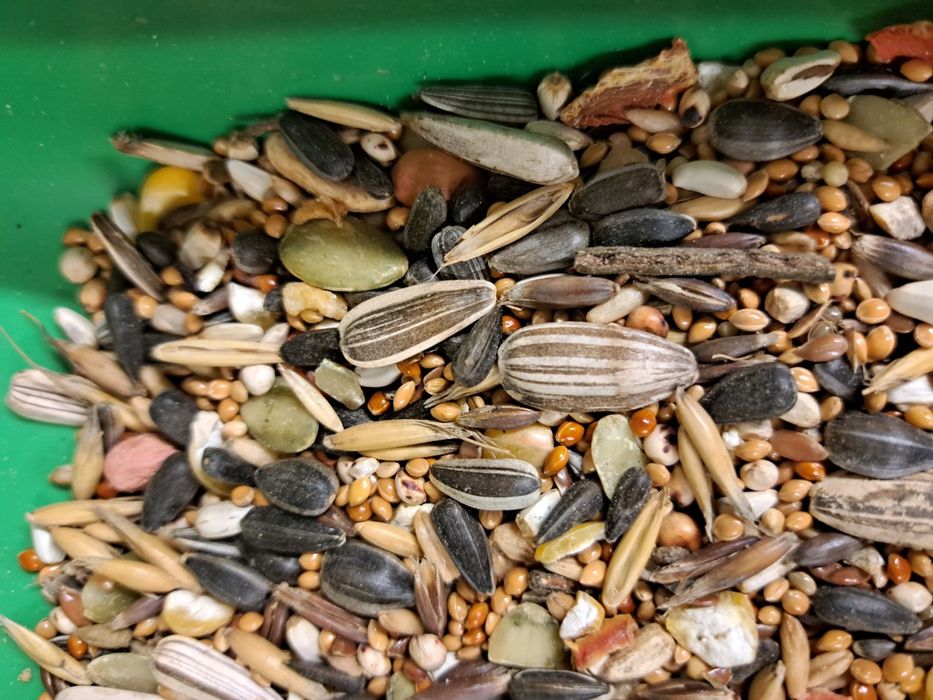 Papuga średnia ziarno,mieszanka karma 4,5zł kg, 20kg za 90zł