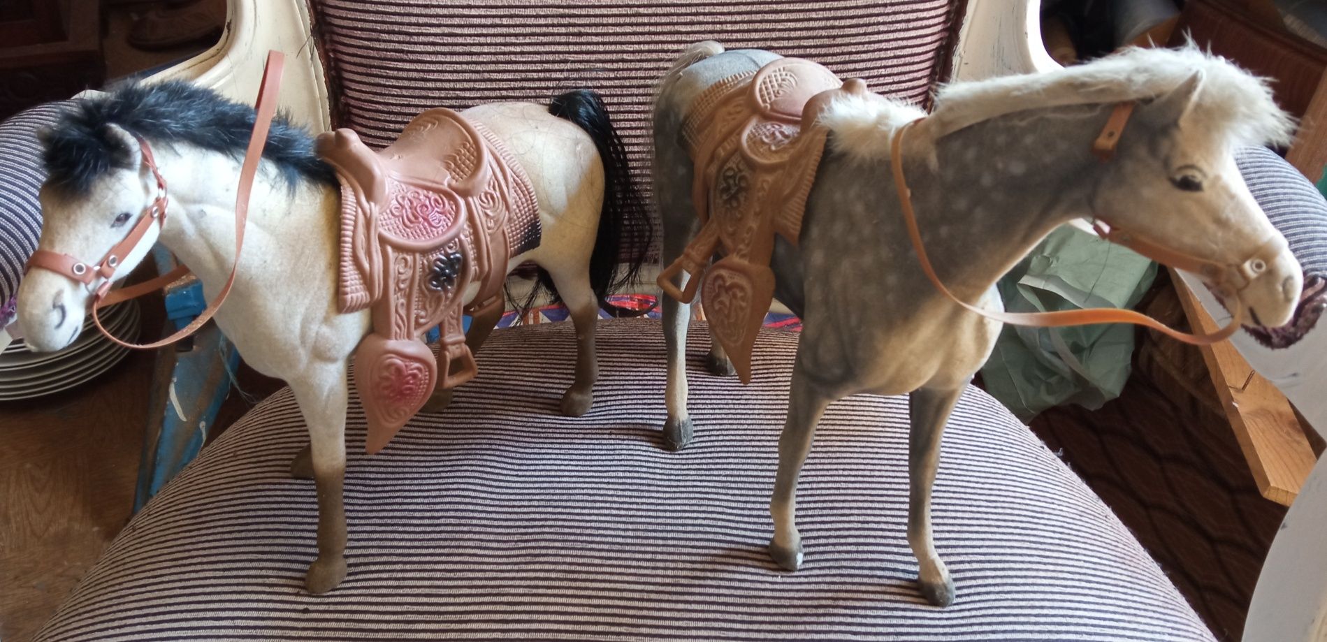 Dois cavalos em miniatura