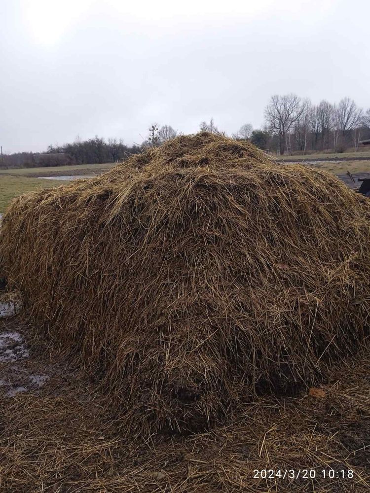 Продам перегній. Лісівщина.