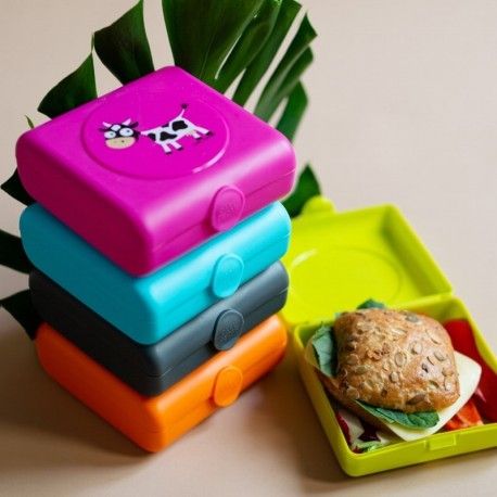 Carl Oscar Box Pojemnik na przekąski i kanapki lunchbox