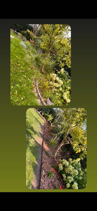 Usługi ogrodnicze !