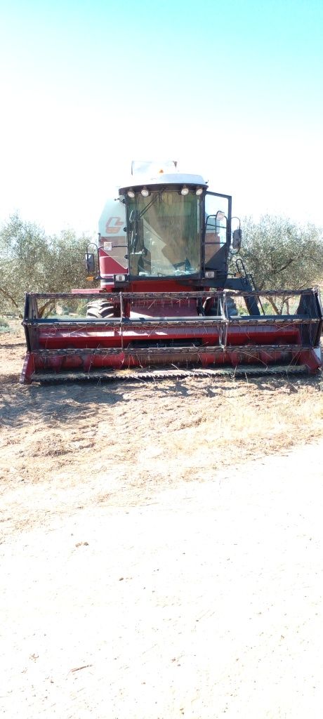 Serviços de agricultura