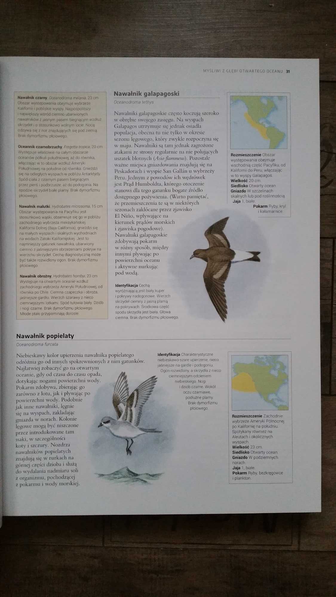 Encyklopedia ptaków świata  NOWA