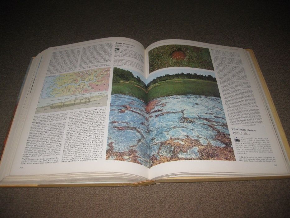 Livro "Dicionário Ilustrado das Maravilhas Naturais do Mundo"