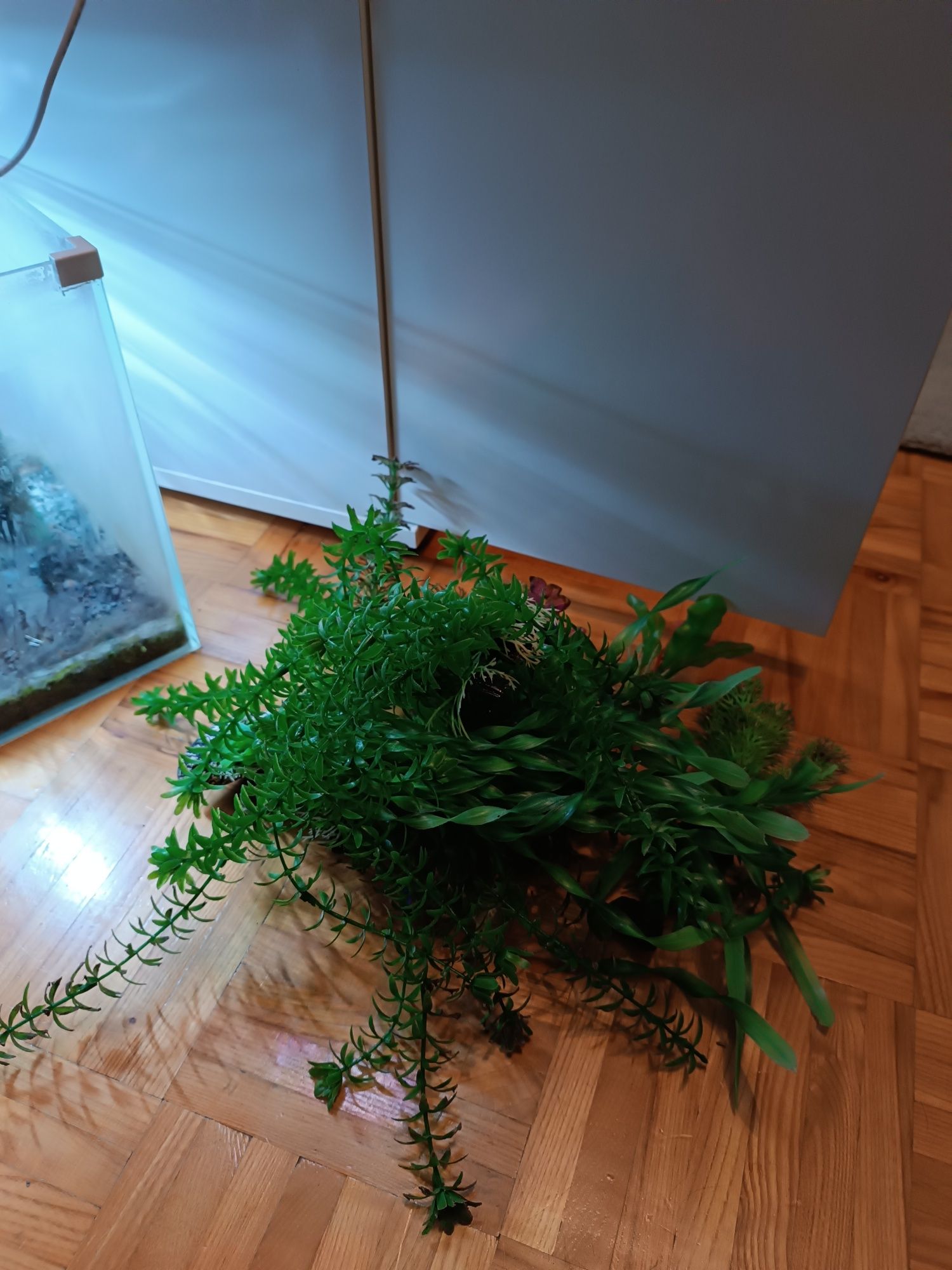 Akwarium 15 litrów z całym wyposażeniem