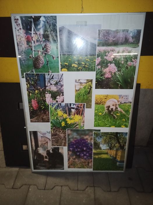 Rama na obraz zdjęcia ze szkłem 63x92