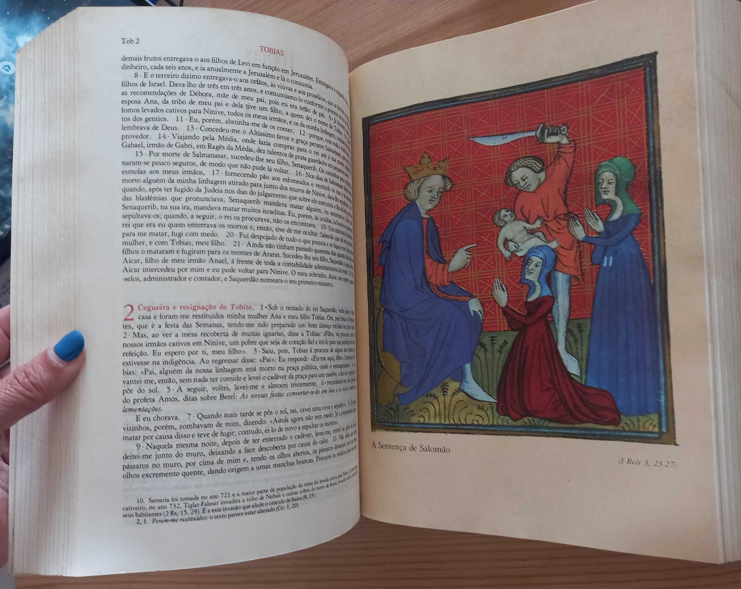 Biblia sagrada, edição comemorativa do Papa João Paulo II