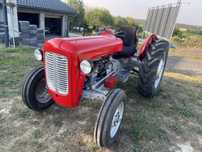 Massey Ferguson FE 35 traktor zabytkowy benzyna