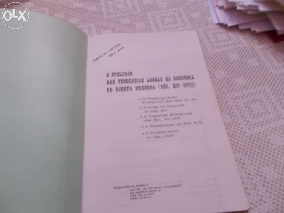 Sebenta de História Economia na Europa moderna
