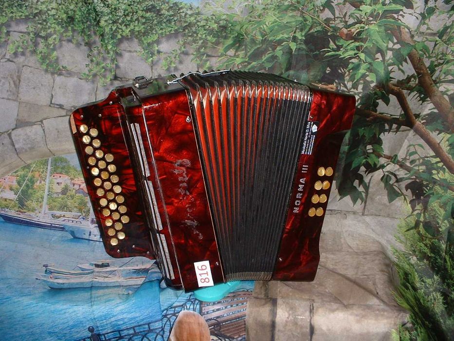 Concertinas a venda N.816