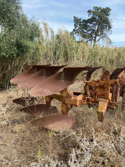 Preço na descrição - Charruas Galucho e Girassol SMEA.