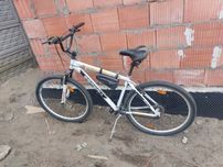 Rower esperia kola 28